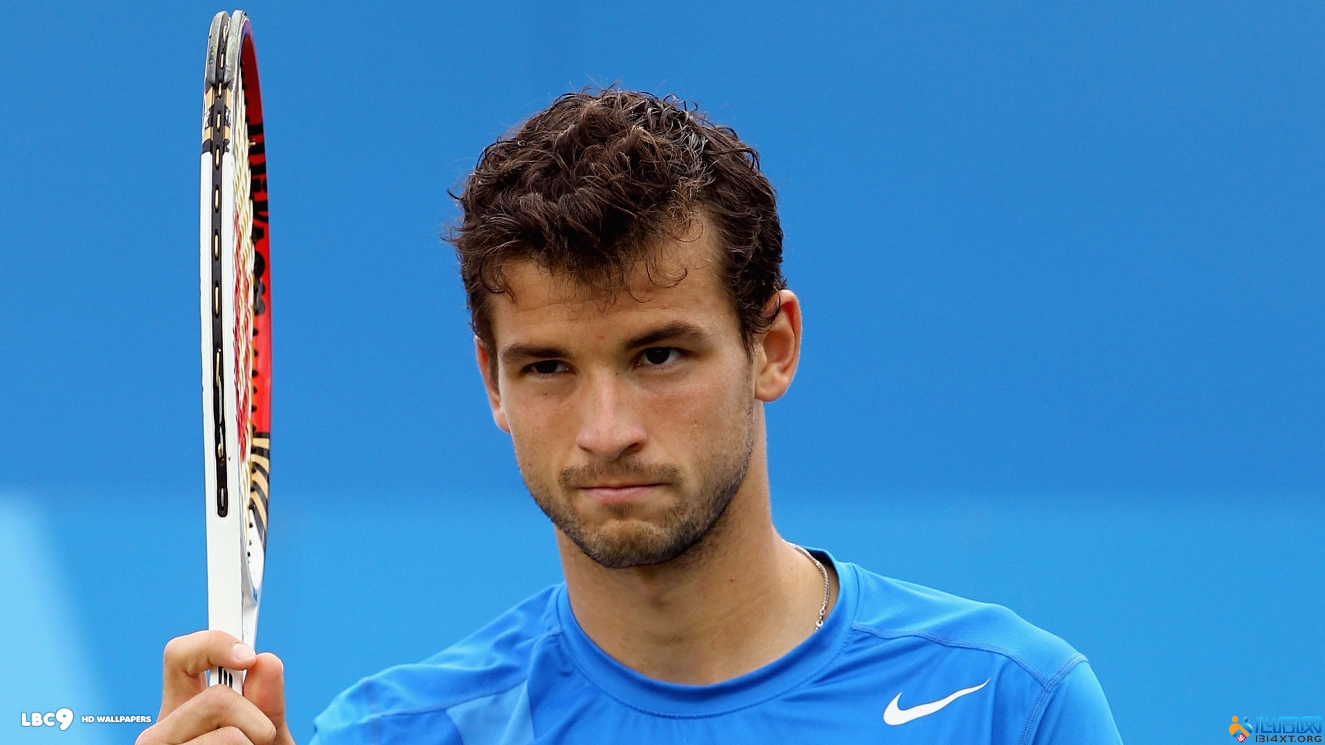 阿卡很可能 阿卡很可能