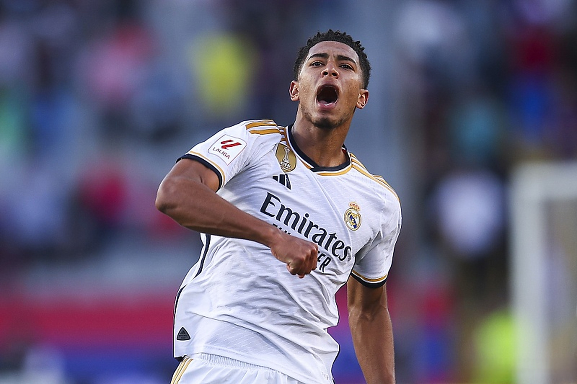 备了从项目 备了从项目